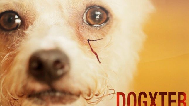 10 świetnych internetowych parodii seriali. “Dexter”, “Gra o tron”, “Homeland” i inne 1