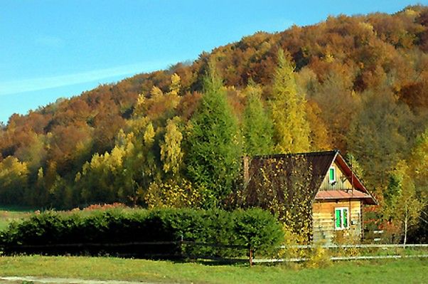 Obraz