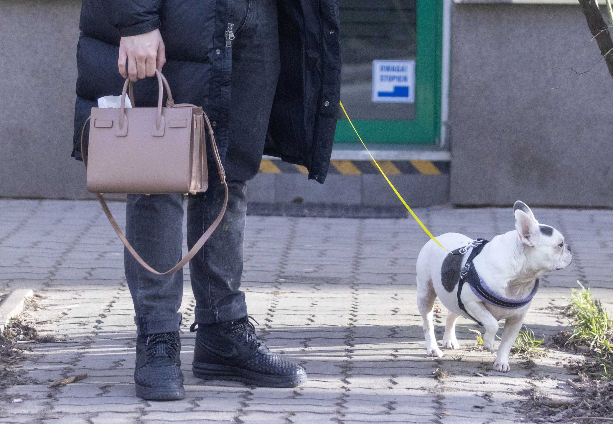 Olga Bołądź z partnerem i suczką u weterynarza