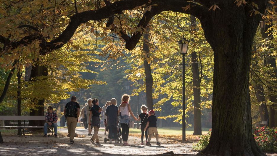 Warszawa. Tegoroczne święto będzie inne niż zwykle