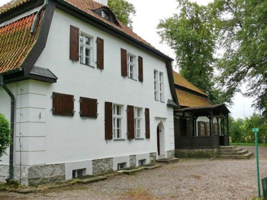 Obraz