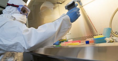 Ebola w Europie. Holandia wydała ostrzeżenia
