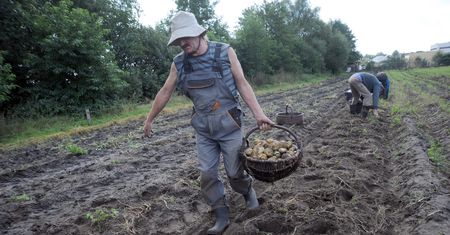 Rolnicy z Podkarpacia ofiarami wygranej Andrzeja Dudy? "Przykre, ale nie jesteśmy mściwi"