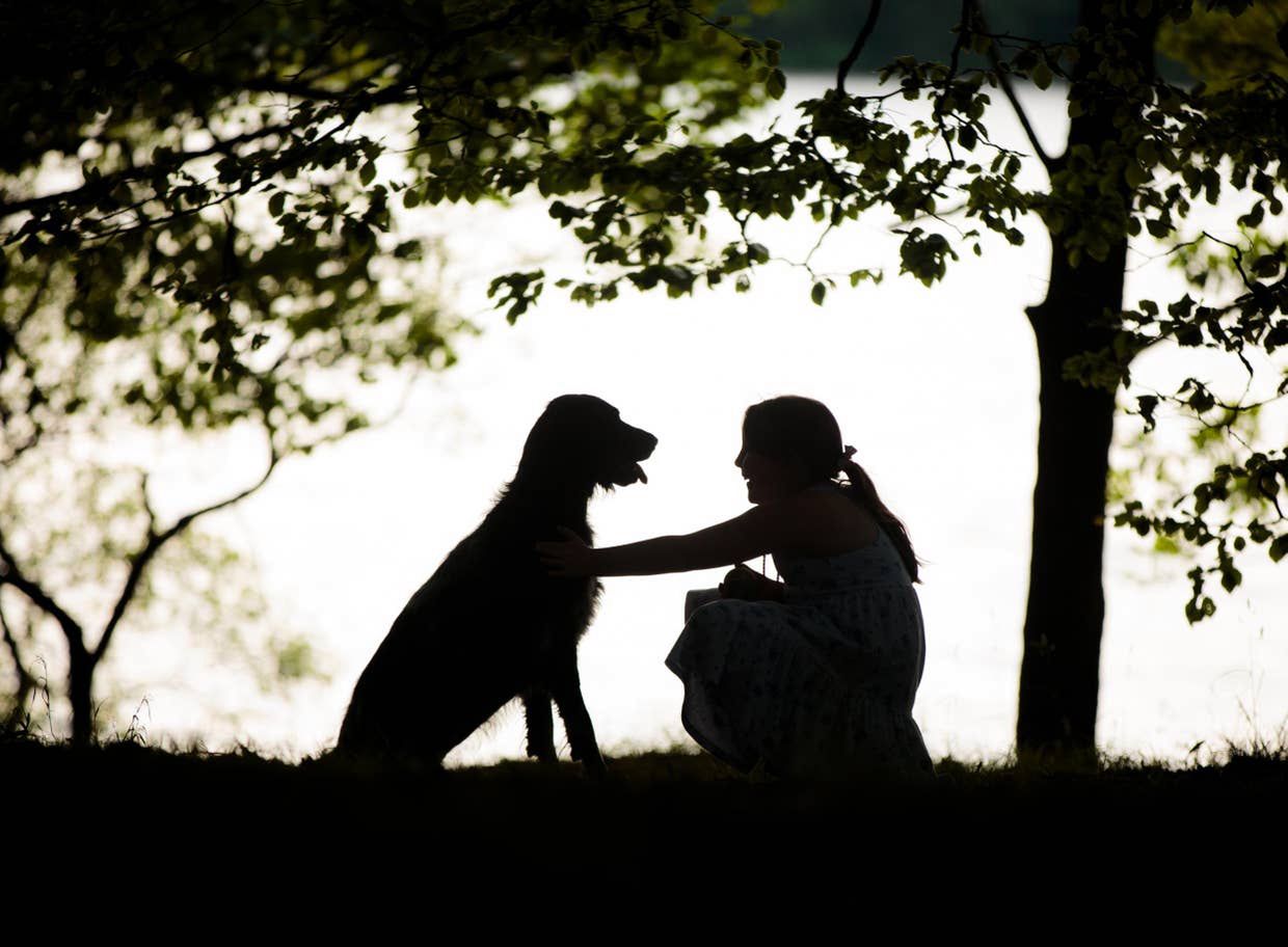Psi Fotograf Roku 2019: Wygrało zdjęcie 14-letniego Merlina w kwiatach 6