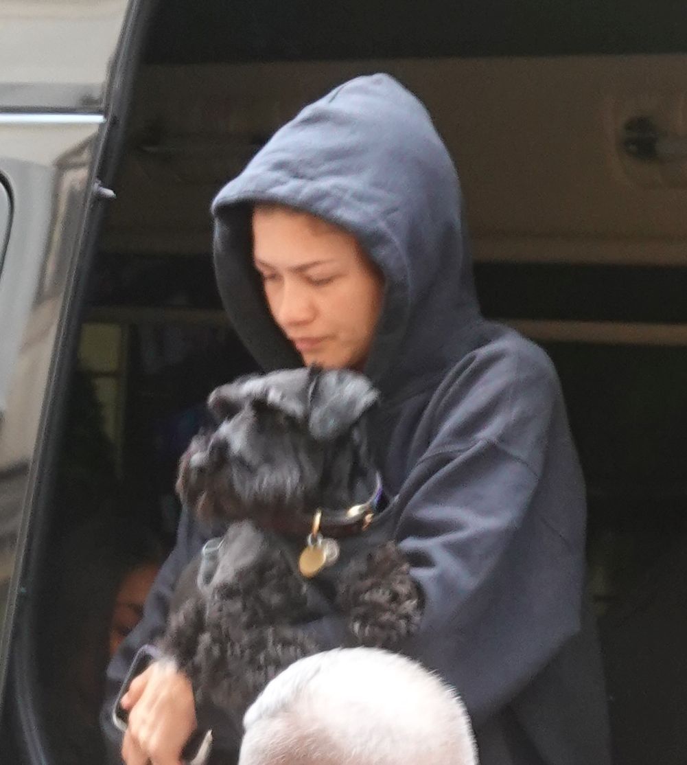 Zendaya 