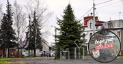 Presja ma sens. W Osieku nad Notecią stanęła nowa choinka