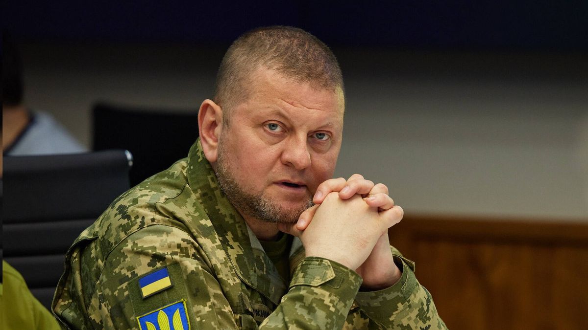 Dowódca Sił Zbrojnych Ukrainy Walerij Załużnyj 