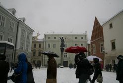 Polakom brakuje kompetencji. Pracodawcy mają problemy