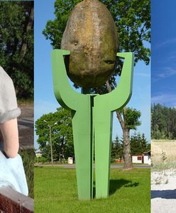 Pięć najdziwniejszych pomników w Polsce. Kaloryfer, czajnik i UFO to dopiero początek