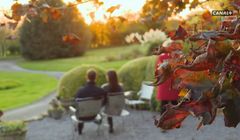 Polsat Box informuje o „rozszerzeniu współpracy” z Canal+