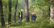 Przyłapali leśniczego. Skandal w Lasach Państwowych. "Ogromna ilość"