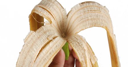 Wykorzystaj skórki z bananów w pielęgnacji kwiatów