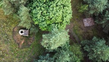 Takie zdjęcie w książce. Od razu ruszył do lasu. "Natrafiłem na coś"