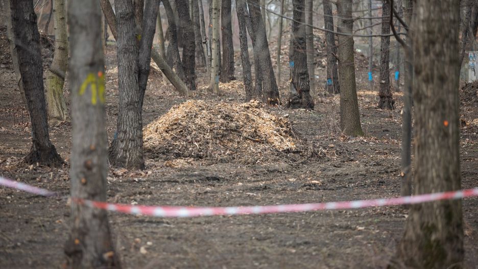 Bielsko-Biała. Od uporządkowania terenu rozpoczęły się prace przy zagospodarowaniu terenu od ujścia Straconki do rzeki Białej.