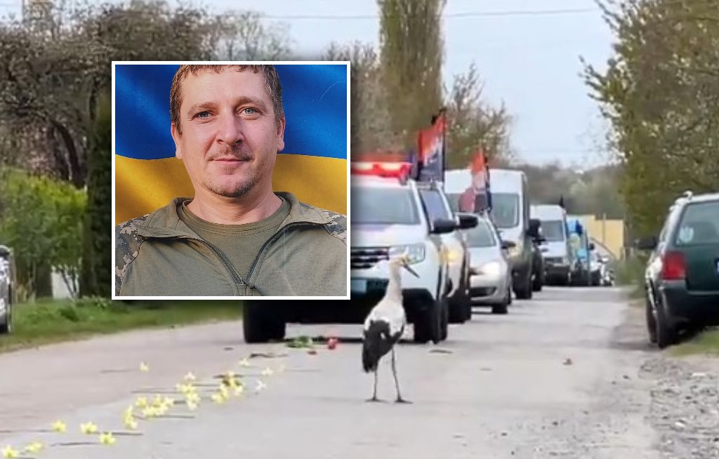 Bocian na pogrzebie żołnierza. Wymowne sceny w Ukrainie