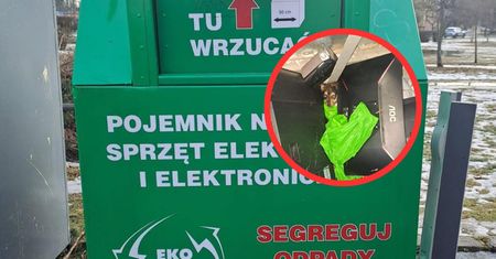 "Szokujące i okrutne". Odkrycie w kontenerze na elektronikę