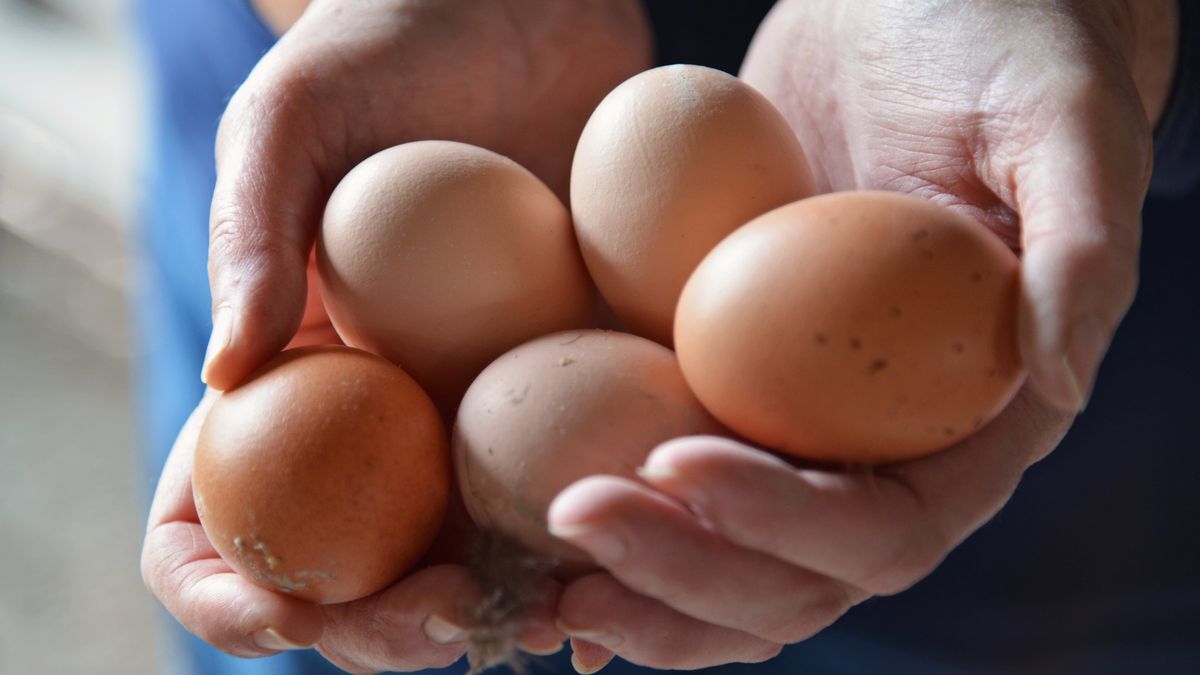Polska produkcja jaj znacznie przewyższa krajowe zapotrzebowanie.