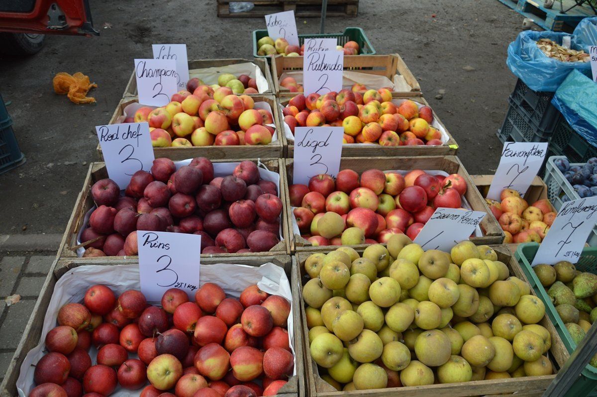 Owoce i warzywa na na placu targowym w Stalowej Woli