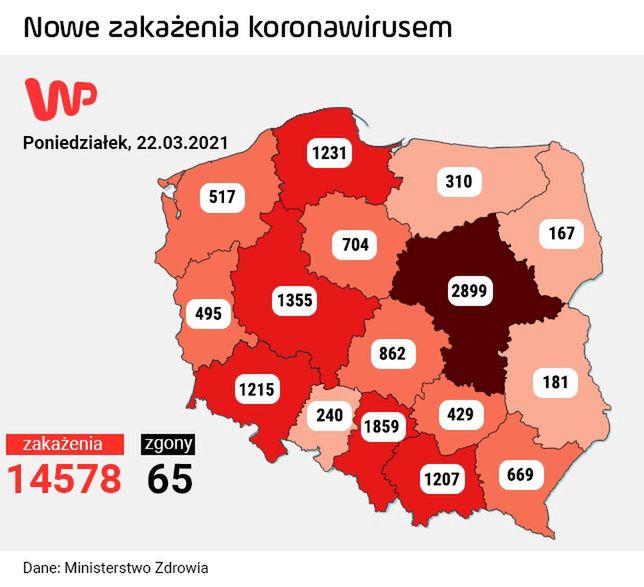 Koronawirus w Polsce.