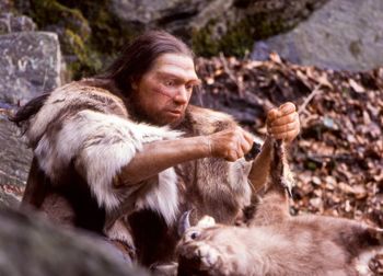 Kiedyś żółwie były rarytasem. Praludziom nie chodziło jednak o mięso