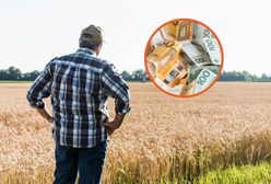Emerytury rolników w Polsce i Niemczech. Różnice po 30 latach pracy