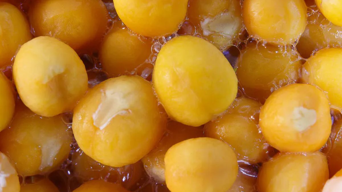 Zakazana dwunastka. Sprawcy wzdęć, zaparć i kłopotliwych gazów