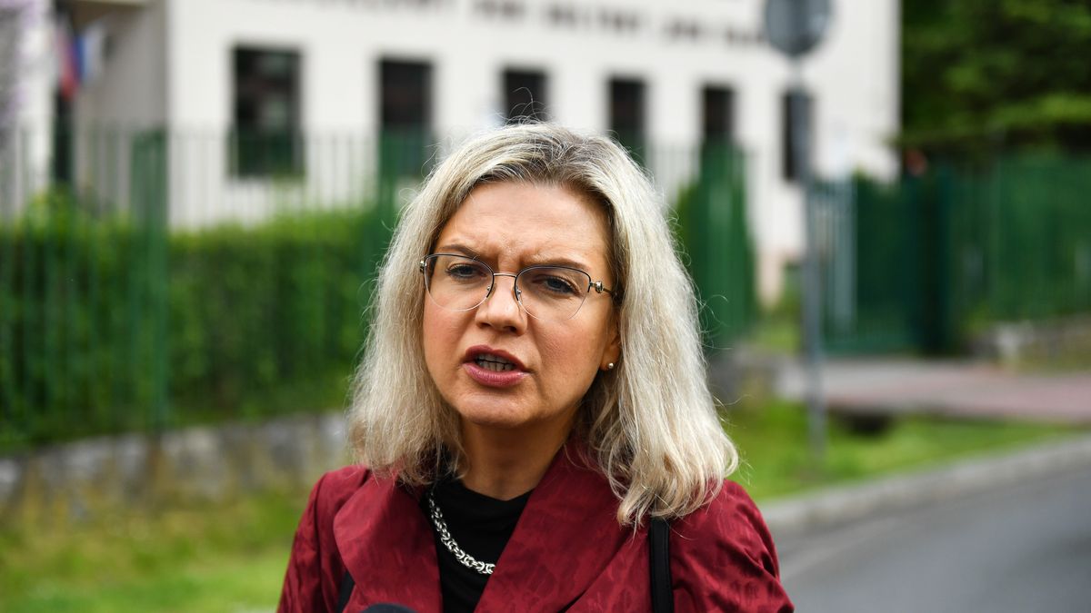 Ma�gorzata Wasserman
Art Service
konferencja, PiS, polityk, polityka, spotkanie, briefing, prasowa, prasowy, portret