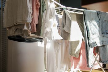 Suszysz tak pranie zimą? Uważaj na wilgoć i pleśń