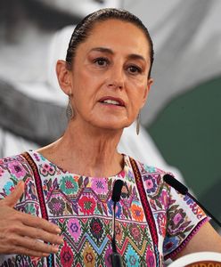 Szykują się na ruch Trumpa. "Będziemy bronić Meksykanów"