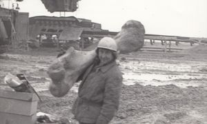 Szczątki słonia leśnego. Odkrycie w Wielkopolsce nadal wzbudza emocje