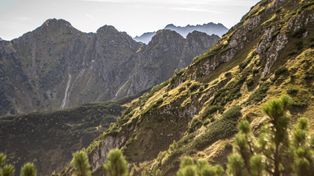 Badania potwierdziły. W Tatrach dokonano dużego odkrycia