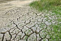 Grozi nam susza. Ostrzeżenia hydrologiczne nie pozostawiają złudzeń