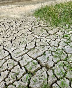 Grozi nam susza. Ostrzeżenia hydrologiczne nie pozostawiają złudzeń