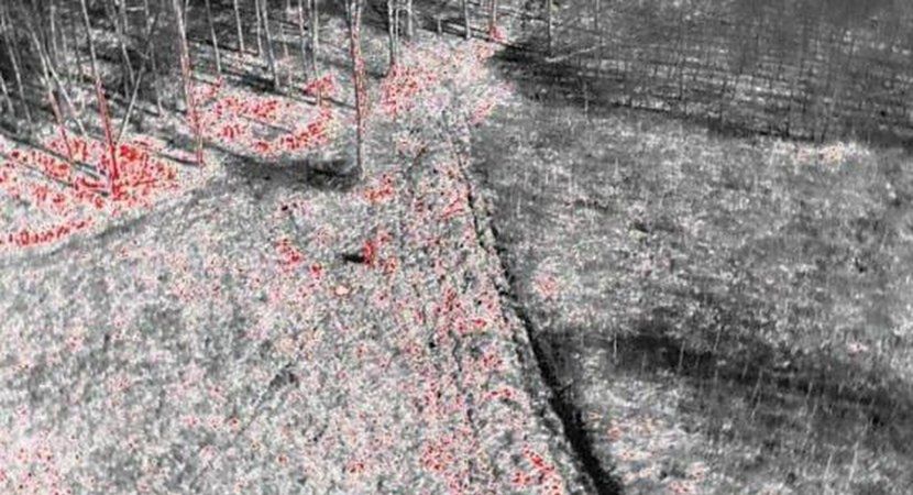 Tak ślad przejazdu quadami strażnikom leśnym pozwala zobaczyć kamera termowizyjna