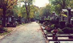 Koszmar w Zachodniopomorskiem. Tajemnicze zgony w cmentarnej toalecie