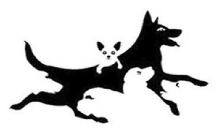 Ile widzisz psów? Test pozwoli określić twój wiek mentalny