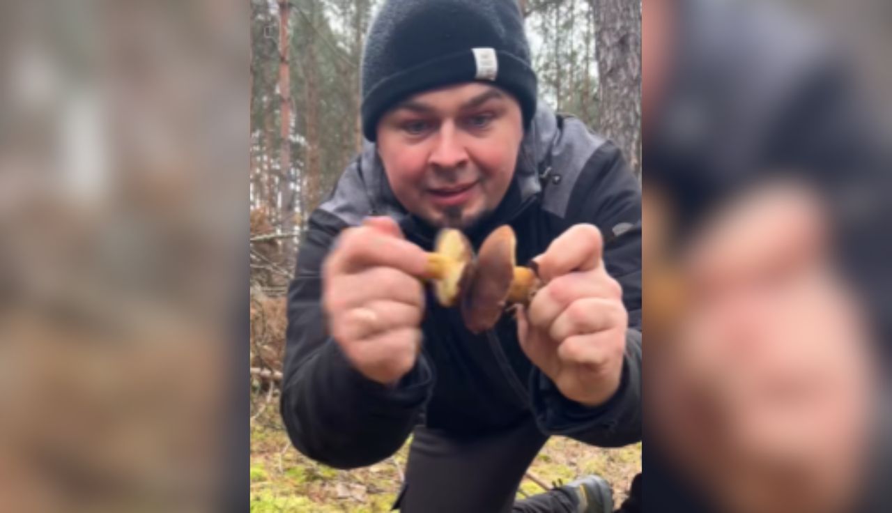 Ponad 700 tys. wyświetleń. Pokazał, co się stało z grzybami