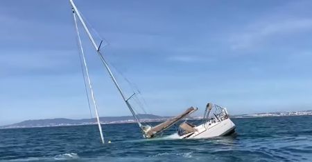 Godzinny atak drapieżników w Portugalii. Dramatyczne chwile załogi jachtu