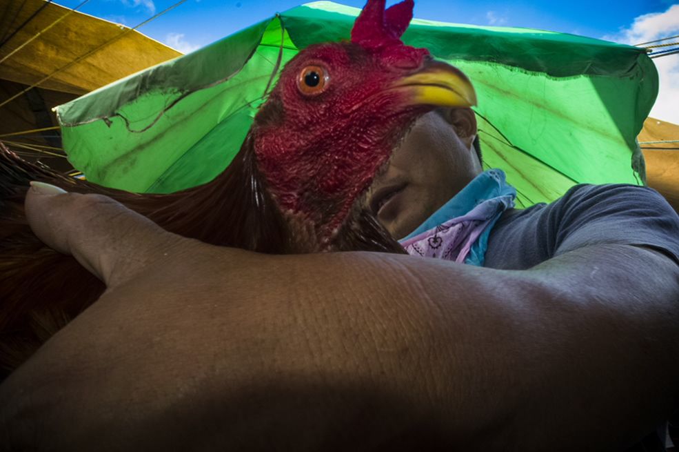 Sony World Photography Awards 2017. Jury wybrało najlepsze pojedyncze zdjęcie z Polski i całego świata 21