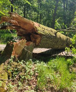 Utrudnienia dla turystów. Park narodowy apeluje