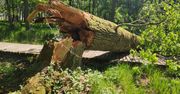 Utrudnienia dla turystów. Park narodowy apeluje