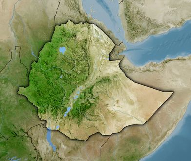 Szef WHO o dramacie w Tigraj. Nazywa go "największa katastrofą na Ziemi"