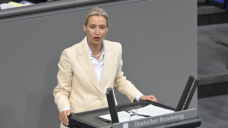 AfD na czele sondaży poparcia