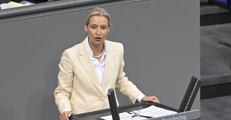 Niemcy: skrajnie prawicowa partia z rekordem poparcia