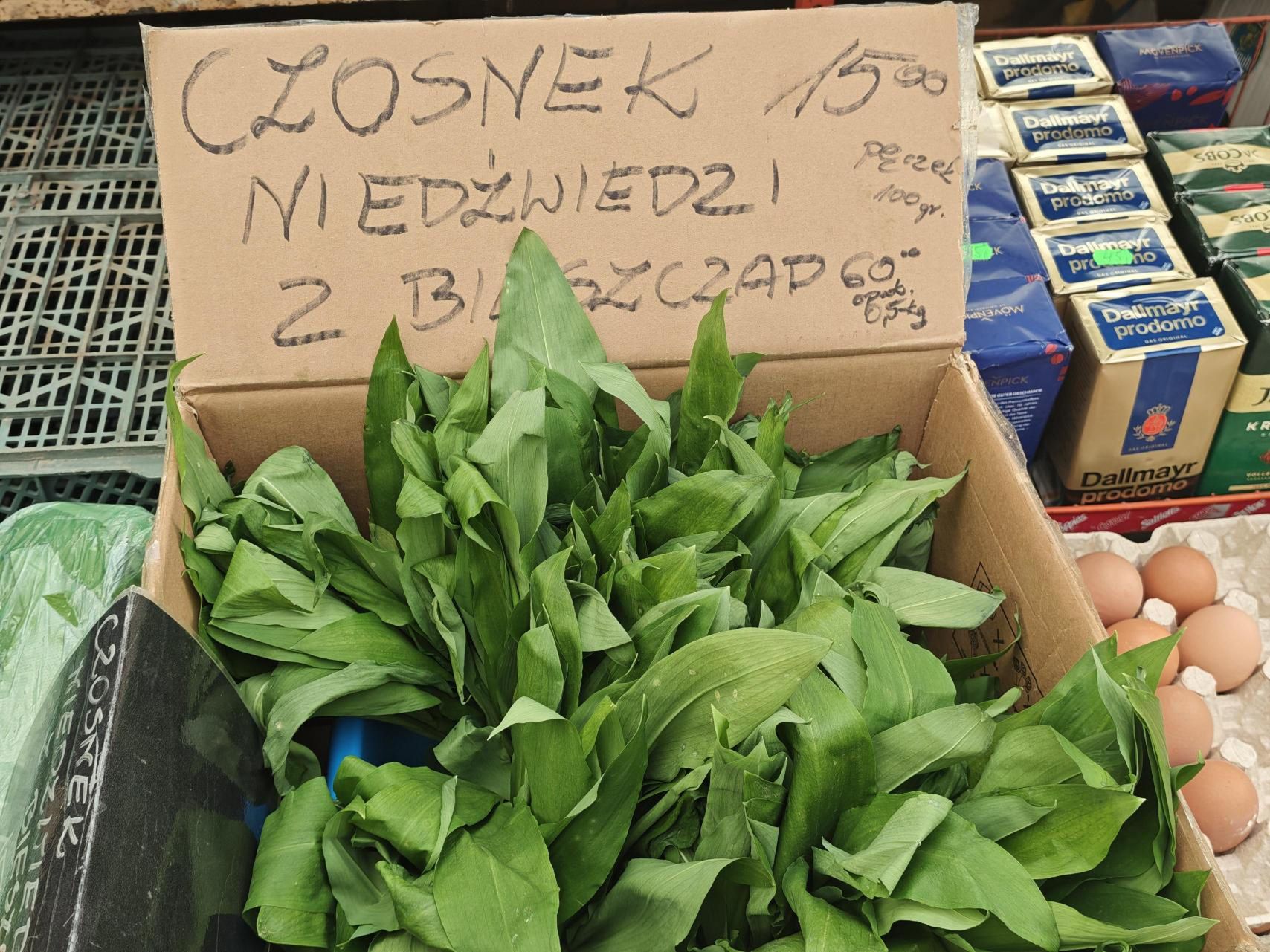 Czosnek niedźwiedzi dostać można na lokalnych targach