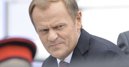 Skargi na "Wiadomości" TVP do KRRiT po materiałach o Donaldzie Tusku