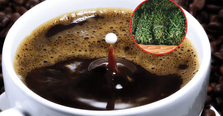 Dodawaj do kawy. Zbija cukier i cholesterol, odchudza, chroni przed rakiem