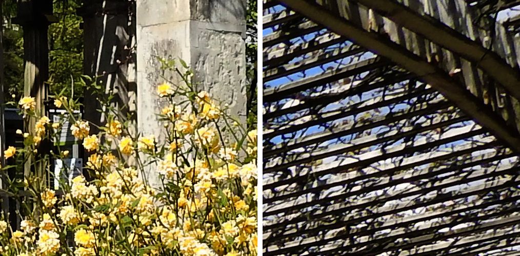 Nikon Coolpix P900 – dwumetrowy zoom! 22