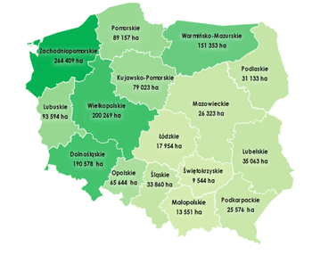 Rolnicy nie chcą kupować ziemi, wolą dzierżawę. Rekordowy rok