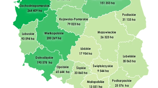 Rolnicy nie chcą kupować ziemi, wolą dzierżawę. Rekordowy rok